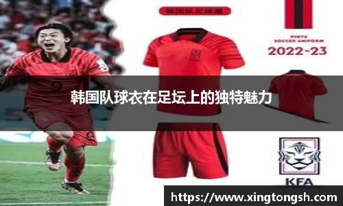 韩国队球衣在足坛上的独特魅力
