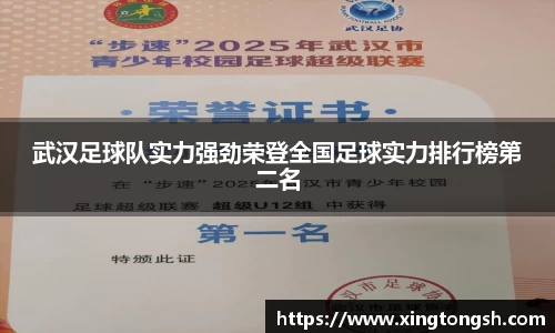 武汉足球队实力强劲荣登全国足球实力排行榜第二名