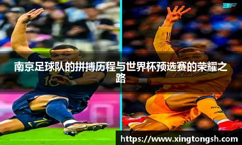 南京足球队的拼搏历程与世界杯预选赛的荣耀之路