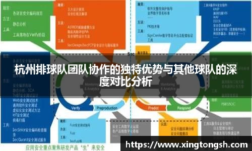 杭州排球队团队协作的独特优势与其他球队的深度对比分析